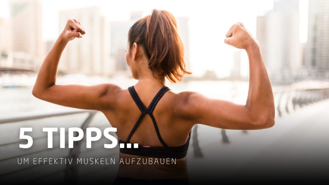 5 Tipps… um effektiv Muskeln aufzubauen