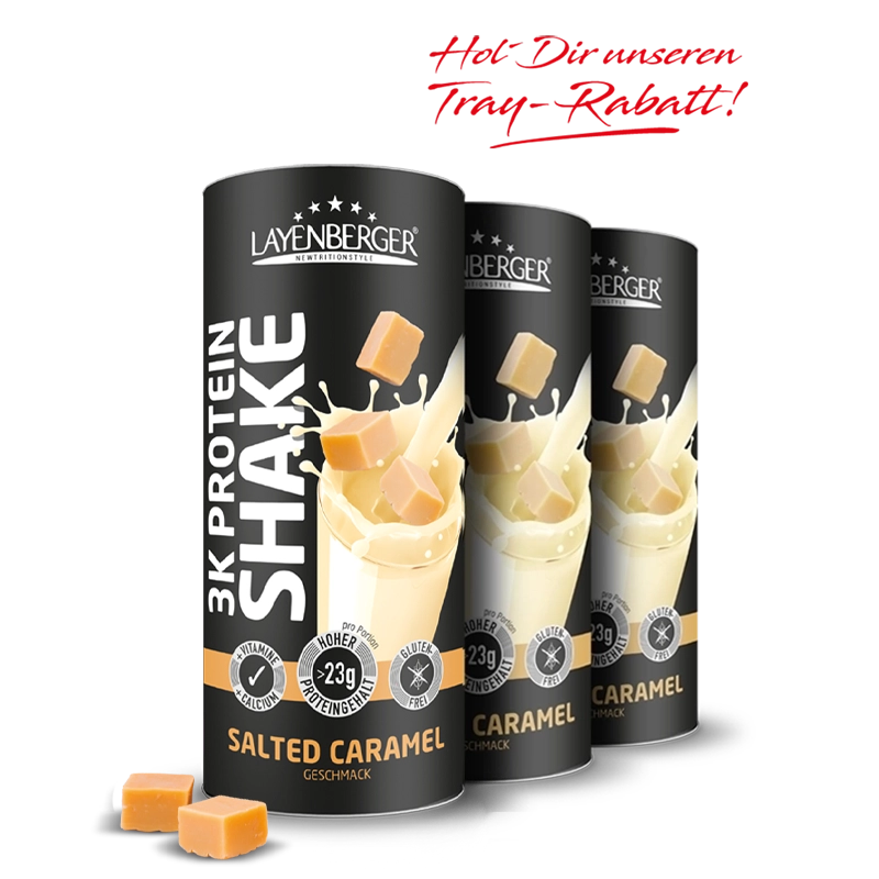 3K PROTEIN SHAKE Salted Caramel 3er Karton