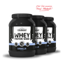 WHEY PROTEIN SHAKE Vanilla 750g 3er Karton